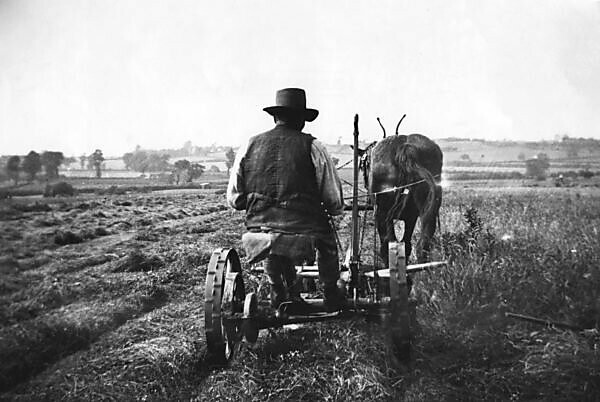 Best way to mow 10 online acres